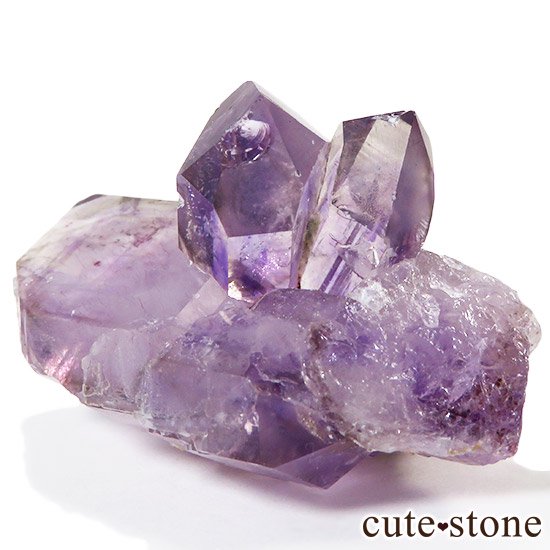 ʥߥӥ ֥ɥС ᥸ȤθФμ̿1 cute stone