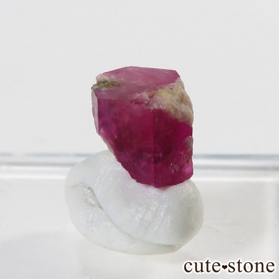 ꥫ 楿 åɥ٥ʥӥХȡˤθФμ̿6 cute stone