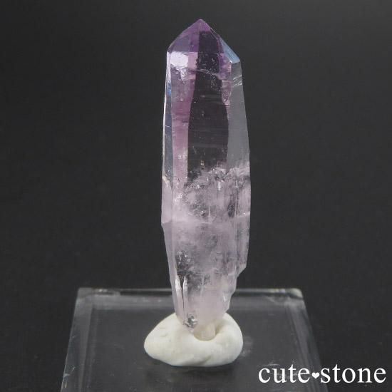 ٥饯륹᥸Ȥñ뾽() C