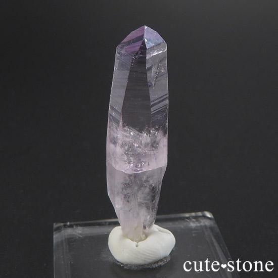 ٥饯륹᥸Ȥñ뾽() Cμ̿1 cute stone