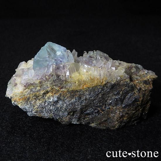 󥴥뻺 ե饤Ȥȿ徽ζɸ()μ̿1 cute stone