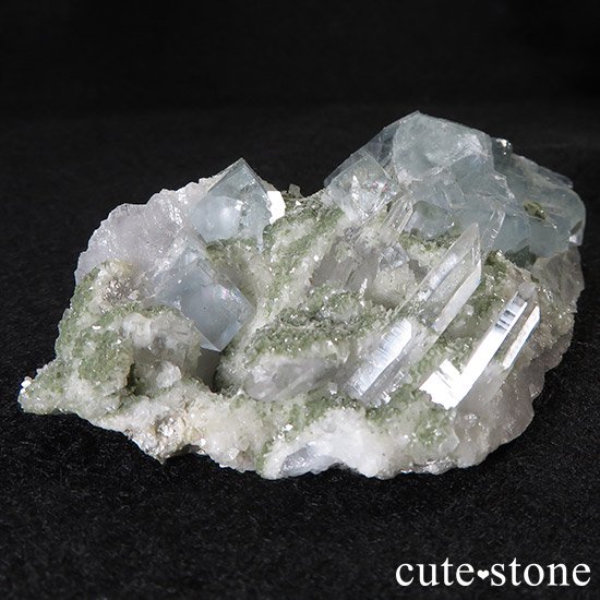 ʻ ե饤Ȥȿ徽ζɸ()μ̿0 cute stone