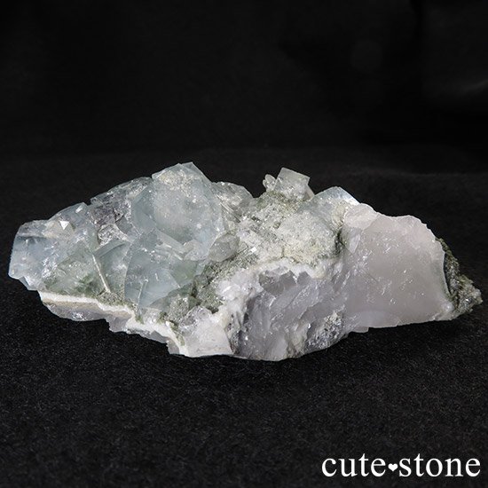 ʻ ե饤Ȥȿ徽ζɸ()μ̿1 cute stone