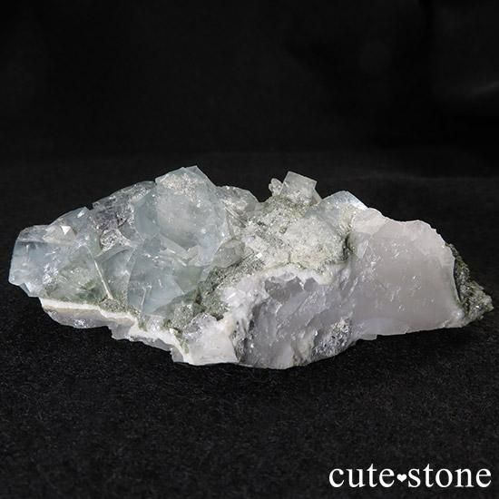 ʻ ե饤Ȥȿ徽ζɸ()μ̿1 cute stone