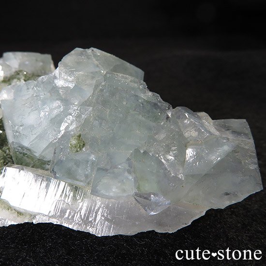 ʻ ե饤Ȥȿ徽ζɸ()μ̿3 cute stone
