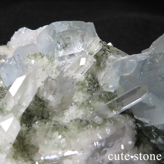 ʻ ե饤Ȥȿ徽ζɸ()μ̿5 cute stone