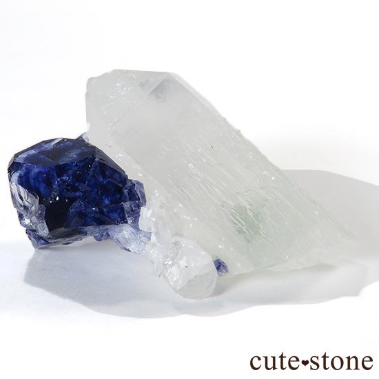 ʻǥץ֥롼ե饤ȡ徽ɸ()μ̿2 cute stone