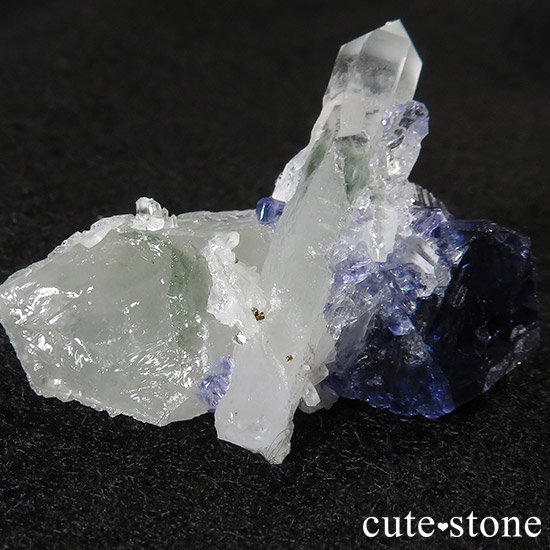 ʻǥץ֥롼ե饤ȡ徽ɸ()μ̿7 cute stone