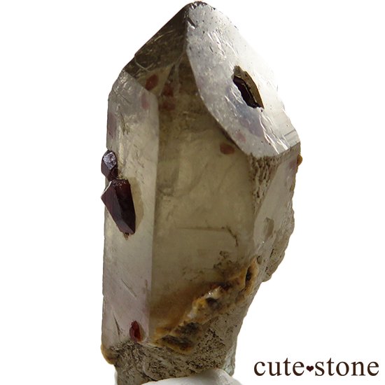 ⡼&ڥƥ󥬡ͥåȤñ뾽μ̿1 cute stone