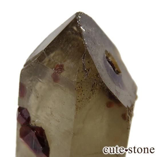 ⡼&ڥƥ󥬡ͥåȤñ뾽μ̿4 cute stone