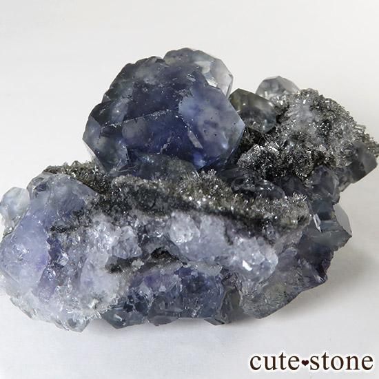 ѡץ֥롼ե饤 ʡʱʽո 81gμ̿1 cute stone