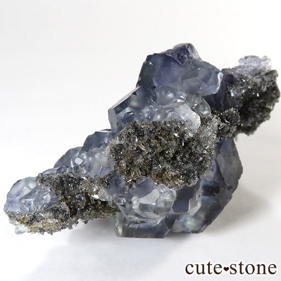 ѡץ֥롼ե饤 ʡʱʽո 81gμ̿4 cute stone