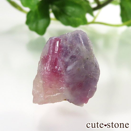 トルマリンインレピドライトシリカ トルマリンインクォーツ の原石 Cute Stone