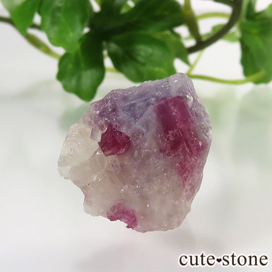 ȥޥ󥤥ԥɥ饤ȥꥫθФμ̿0 cute stone