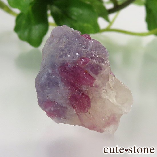 ȥޥ󥤥ԥɥ饤ȥꥫθФμ̿1 cute stone