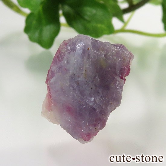 ȥޥ󥤥ԥɥ饤ȥꥫθФμ̿2 cute stone
