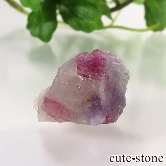 ȥޥ󥤥ԥɥ饤ȥꥫθФμ̿3 cute stone