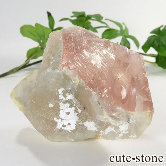 内モンゴル産ピンクフローライトの原石 - cute stone -