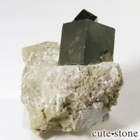 ѥ饤Ȥդ(塼ӥåѥ饤) 33gβ