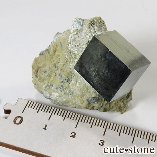 ѥ饤Ȥդ(塼ӥåѥ饤) 43gμ̿3 cute stone