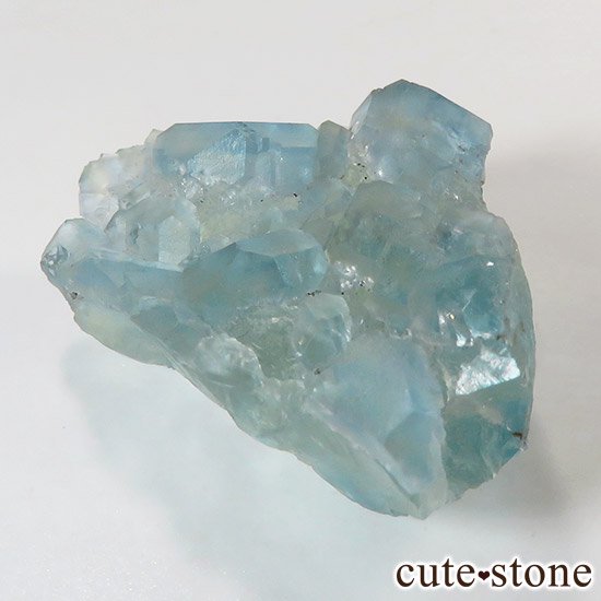 ʡʻ 忧ե饤ȤθФμ̿0 cute stone