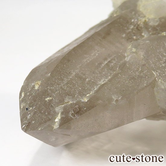 ͡ҥޡ徽Υ饹()μ̿4 cute stone