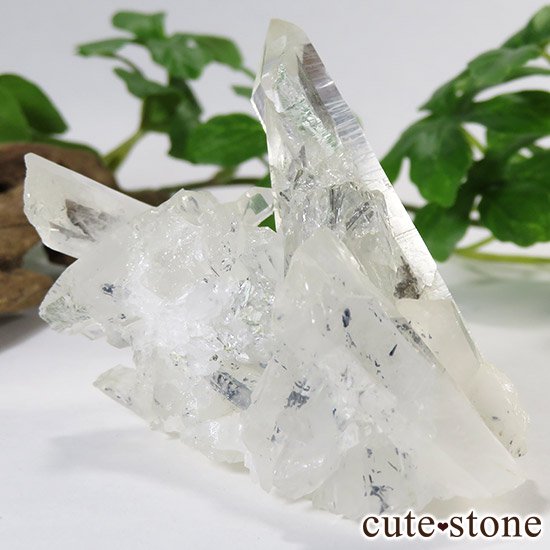 ƥ֥ʥȥ󥯥(¹徽)θФμ̿0 cute stone