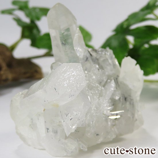 ƥ֥ʥȥ󥯥(¹徽)θФμ̿1 cute stone