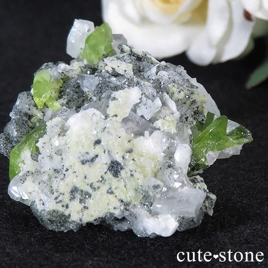 եդ 24gμ̿0 cute stone