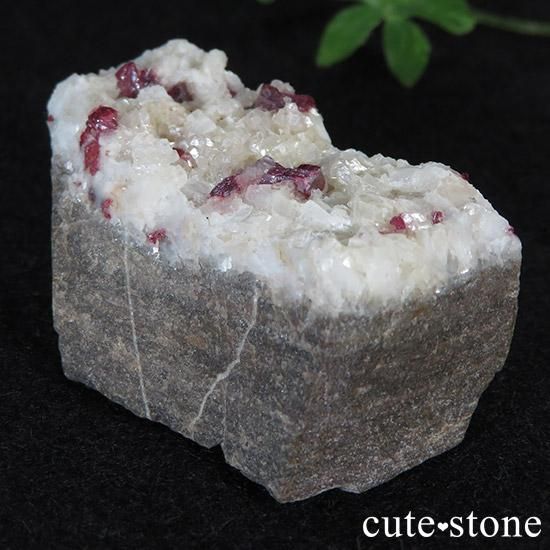 äʥ󥷥˥ʥСդ μ̿0 cute stone