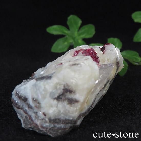 äʥ󥷥˥ʥСդ .μ̿1 cute stone