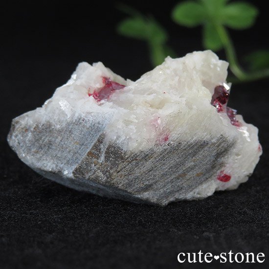äʥ󥷥˥ʥСդ μ̿0 cute stone