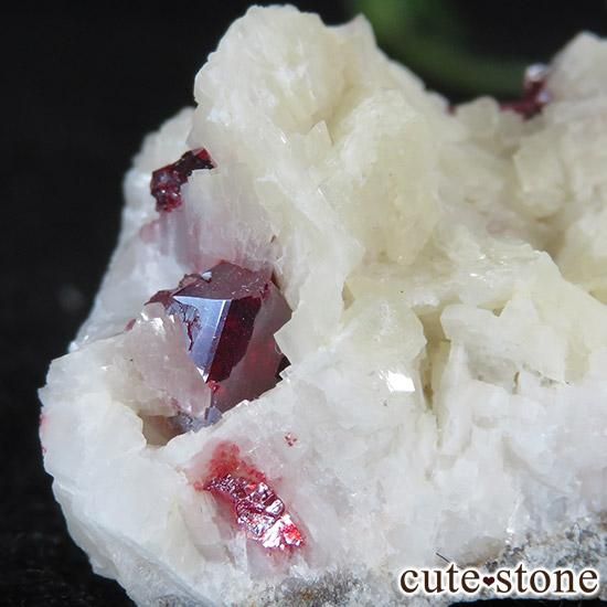 äʥ󥷥˥ʥСդ μ̿1 cute stone