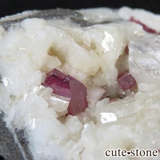 äʥ󥷥˥ʥСդ μ̿1 cute stone