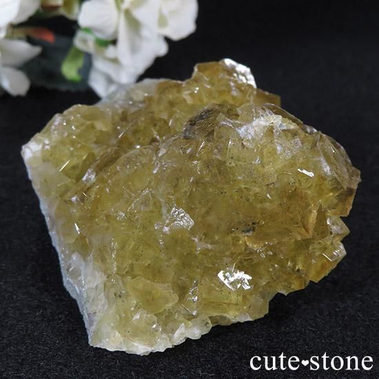 ڥ ⥹ʹۻ ե饤 177gμ̿0 cute stone