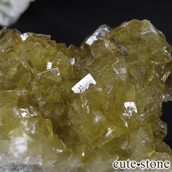 ڥ ⥹ʹۻ ե饤 177gμ̿3 cute stone