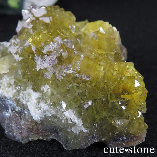 ڥ ⥹ʹۻ ե饤 82gμ̿1 cute stone