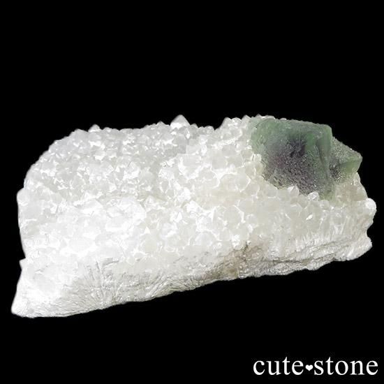 ޶ Ի ȬΥե饤 & 徽μ̿0 cute stone