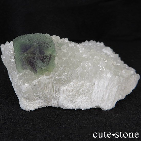 ޶ Ի ȬΥե饤 & 徽μ̿1 cute stone