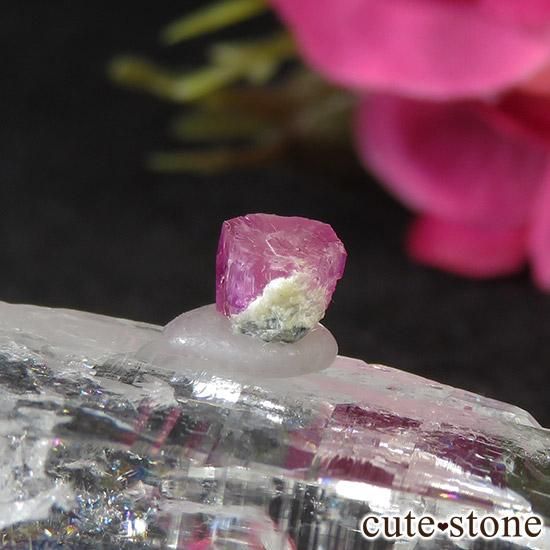 ꥫ 楿 åɥ٥ʥӥХȡˤθ 0.6ctμ̿1 cute stone