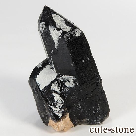 ʻꥪ(徽󥴡)θ 31gμ̿0 cute stone