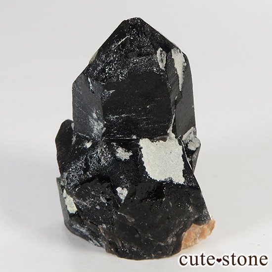 ʻꥪ(徽󥴡)θ 31gμ̿1 cute stone