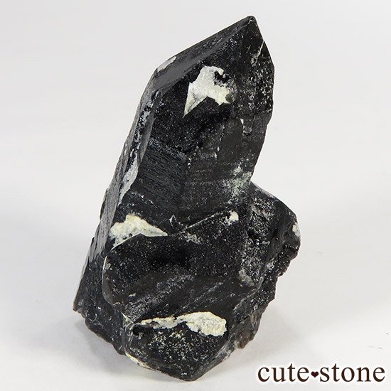 ʻꥪ(徽󥴡)θ 31gμ̿2 cute stone