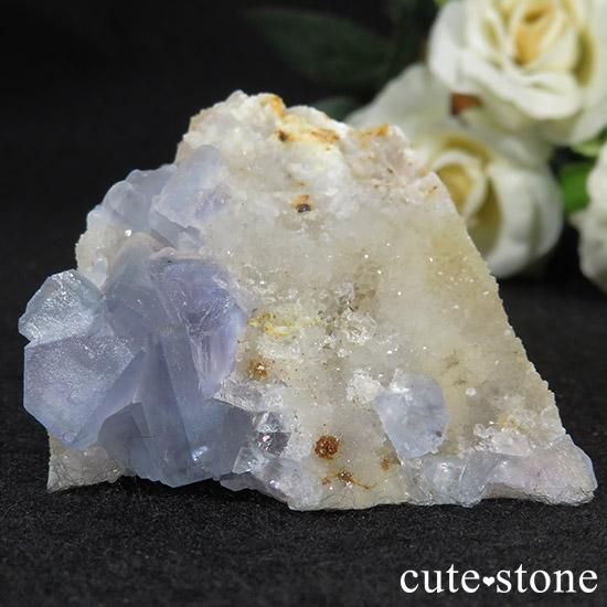 ˥塼ᥭ ֥롼ե饤()θ 60g