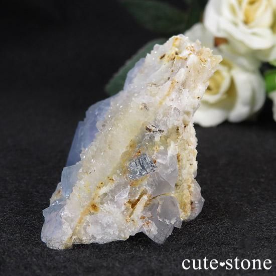 ˥塼ᥭ ֥롼ե饤()θ 60gμ̿1 cute stone