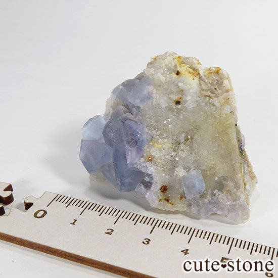 ˥塼ᥭ ֥롼ե饤()θ 60gμ̿5 cute stone