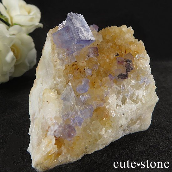 ˥塼ᥭ ѡץ֥롼ե饤()θ 137gμ̿0 cute stone