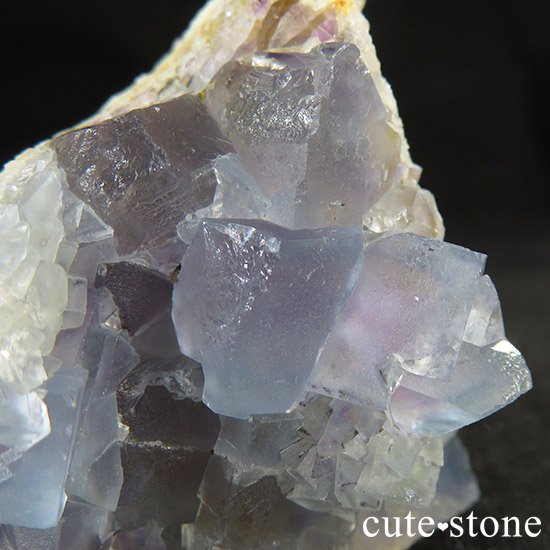 ˥塼ᥭ ֥롼ե饤()&ʤθ 121gμ̿7 cute stone