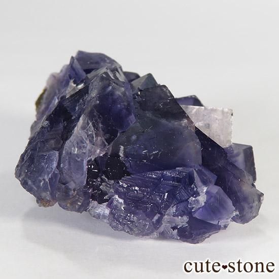   䥪󥷥 ե饤() 45gμ̿0 cute stone