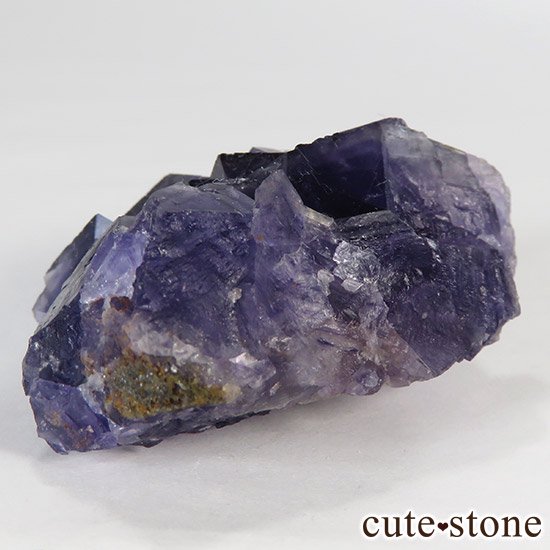   䥪󥷥 ե饤() 45gμ̿1 cute stone